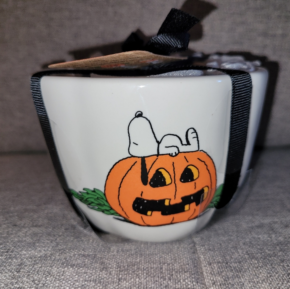 Rae Dunn Peanuts Snoopy Halloween set of 4 measuring cups